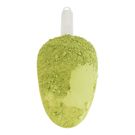 Ceremonial Grade Matcha Powder Organic