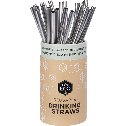 Stainless Steel Straw Straight x1