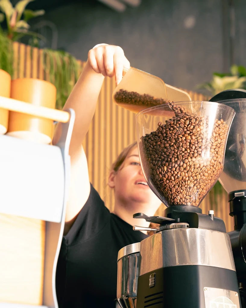 Ocean Grind Coffee Beans - Shorebreak