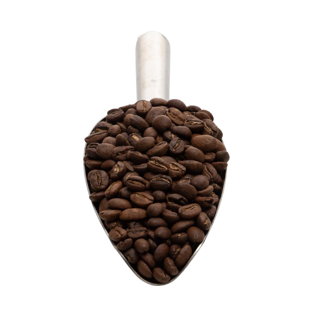 Ocean Grind Coffee Beans - Shorebreak