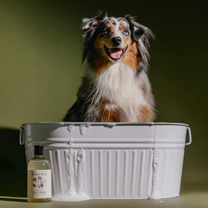 Dog Wash Marjoram & Rosalina Essential Oil 500ml