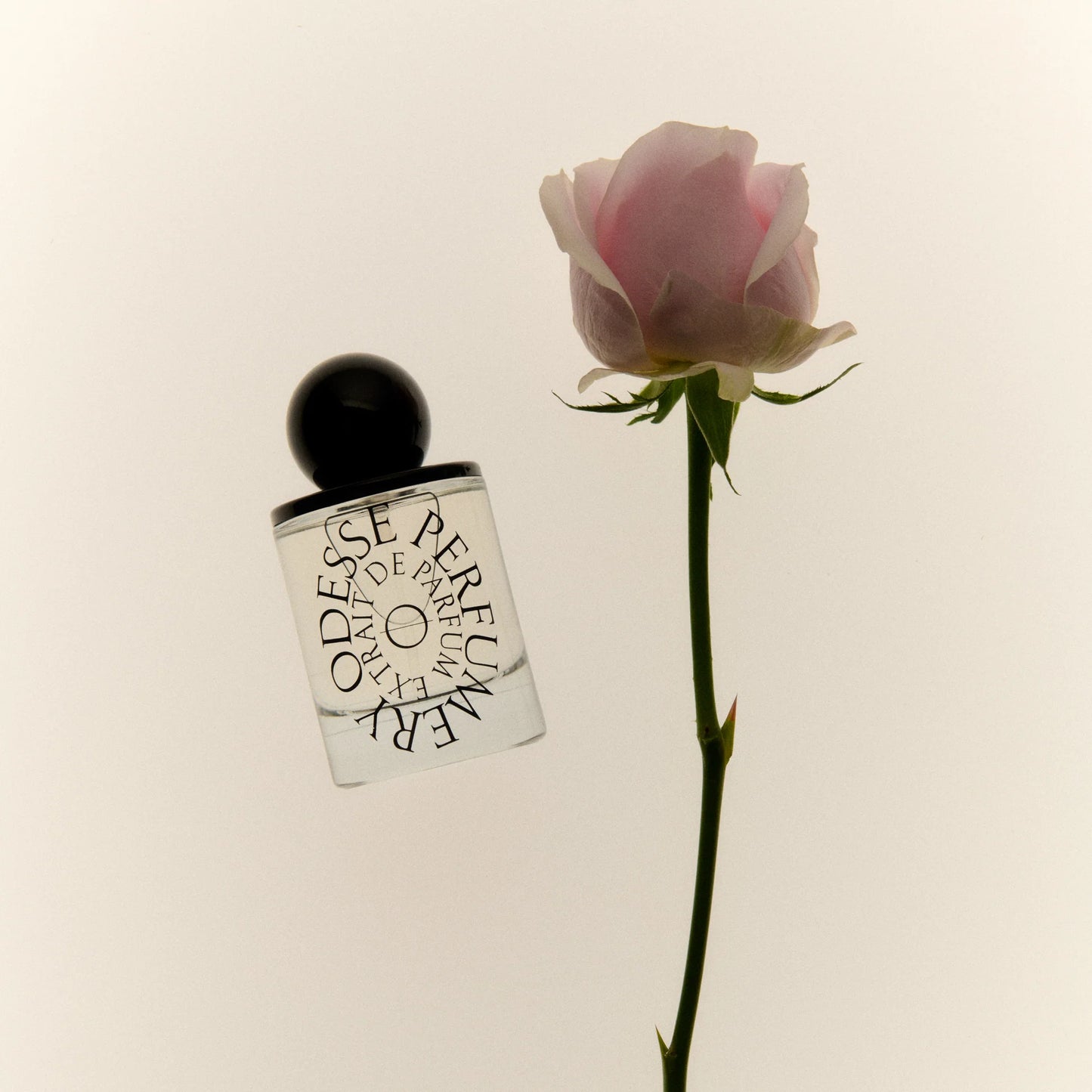 Rose Wood EDP